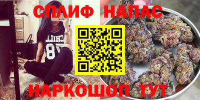apvp Кунгур