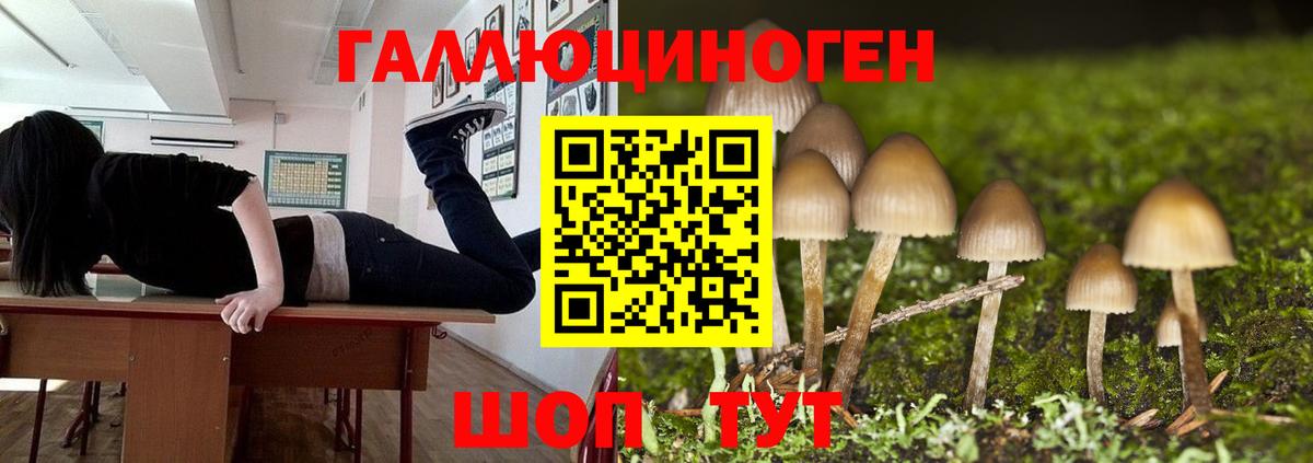 Галлюциногенные грибы прущие грибы  Галлюциногенные грибы ЛСД  Зеленодольск  Вход с VPN 
