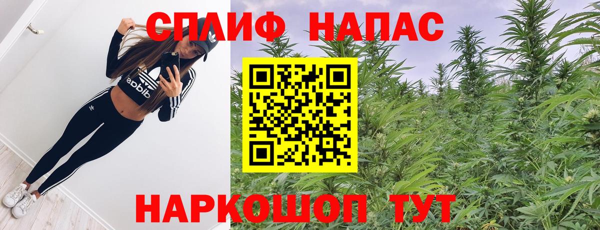Бошки марихуана марихуана Зеленодольск
